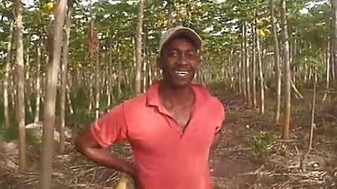 Jermaine Ferguson Photo 27