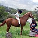 Ellen Childs Photo 33