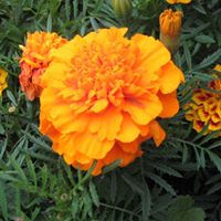 Kathy Schultz Photo 8