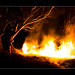 Matthew Burns Photo 48