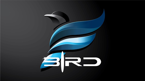Derek Bird Photo 9
