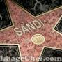 Sandra Conner Photo 27