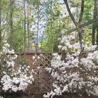 Marilyn Atkinson Photo 9