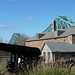Todd Remis Photo 8