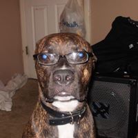 Joshua Minter Photo 2