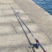 Rod Rasmussen Photo 29