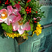 Susan Burroughs Photo 36
