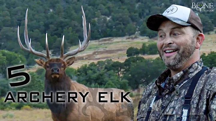 Michael Elk Photo 17