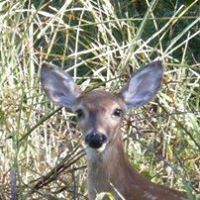 Teresa Mcneely Photo 6