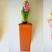 Andrew Grow Photo 27