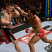 Joe Riggs Photo 42