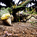 Andres Alfaro Photo 35