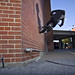 Jake Greene Photo 37