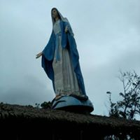 Jean Bernal Photo 4
