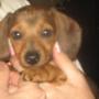 Donna Hartman Photo 31