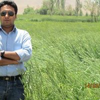 Amir Azimi Photo 1