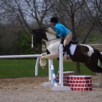 Elizabeth Sleeman Photo 1