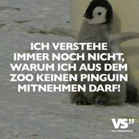Hans Reinhardt Photo 1
