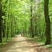 Richard Daher Photo 20