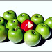 Melissa Apple Photo 32