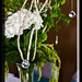Rose Beasley Photo 28