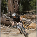 Kevin Southern Photo 36