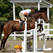 Darcy Hunter Photo 35
