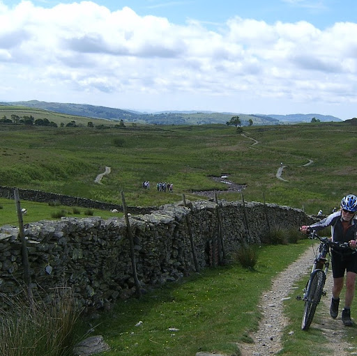 Peter Grove Photo 11
