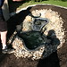 Wayne Pond Photo 15