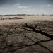 Mark Culp Photo 33