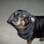 Todd Greenwald Photo 11