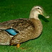 Sally Miracle Photo 20