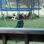 Todd Greenwell Photo 11