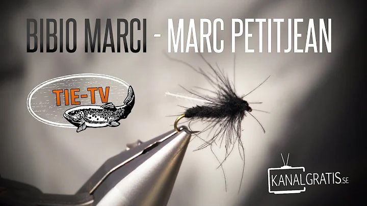 Marc Dipipi Photo 6