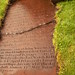 John Applegarth Photo 14