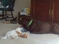 Sadie Henry Photo 11