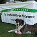 Stephanie Dunlap Photo 35