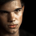 David Lautner Photo 23