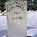 James Maines Photo 40