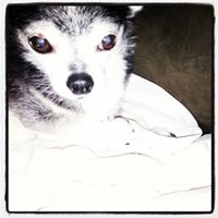 Mary Paul Photo 8