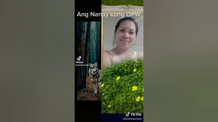 Nancy Kong Photo 25