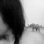 Samantha Cohen Photo 33