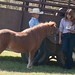 Mindy Crawford Photo 34