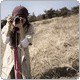 Bing Zheng Photo 8