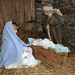 Curt Hays Photo 13
