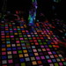 Peter Cappello Photo 28