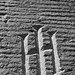 Mark Cutter Photo 26