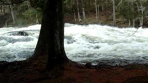 April Rushing Photo 26