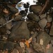Debra Montgomery Photo 45