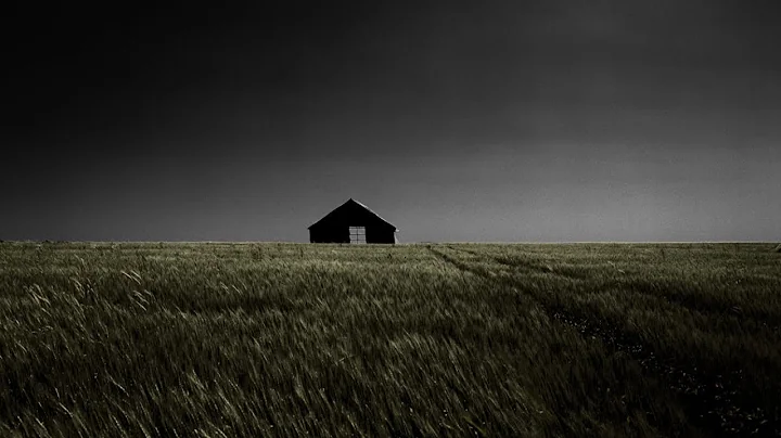 Phillip Kline Photo 19